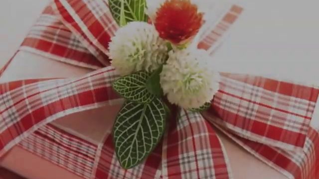 слониха, слоненок и слон.avi смотреть онлайн