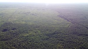 Национальный парк "Мещёра". Волчьи болота, Баластный, Острова.