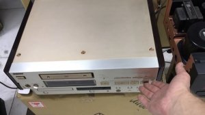 Колонки Coral dx-seven/II Мы коралы, а вы?)
