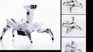 ROBOQUAD   robot krab firmy Wowwee