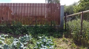 Забор. Границы владений.