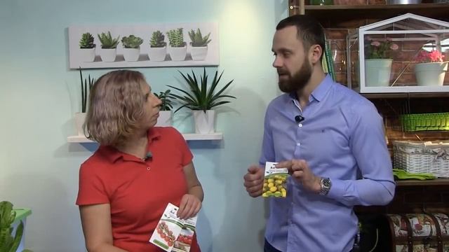 Дачные сезоны с Мариной Рыкалиной. Самый вкусный черри. смотреть онлайн