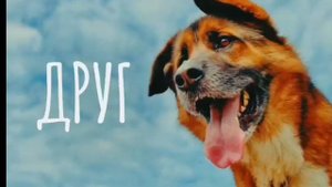 Для всех кто любит и защищает животных