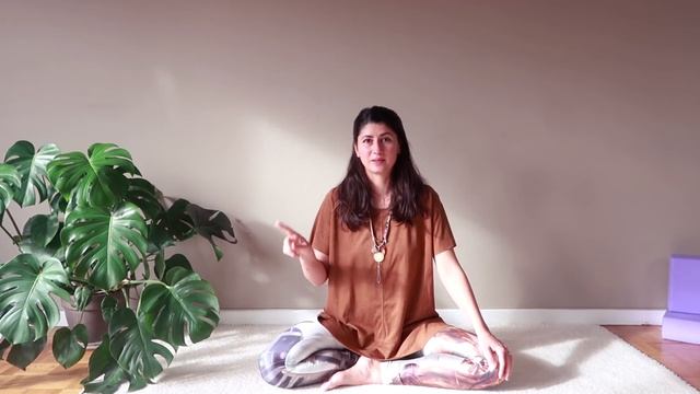 Бастрика - подобрява имунната система смотреть онлайн