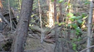 Заброшенные гаражи в Тайге. Тонны металла.