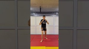 УДАРЫ ЛОКТЯМИ И МЕХАНИКА ИХ НАНЕСЕНИЯ