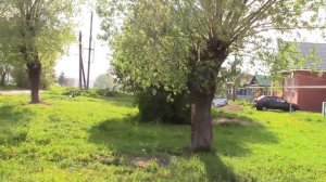 Путешествие в Елизарово