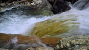 Путешествие в Северную Осетия - Алания. Цейское ущелье. (Видео 4К)