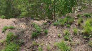 Челябинск  Изумрудный карьер. 03.06.2022г