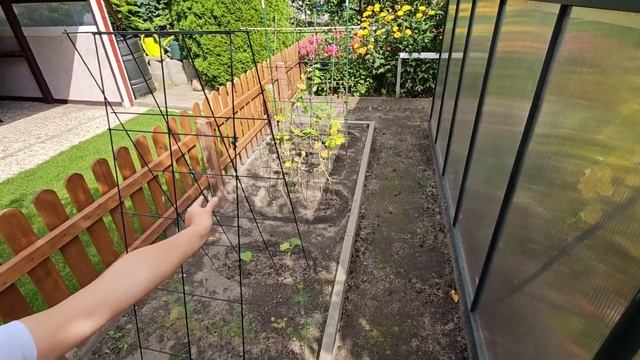 Идём на дачу, собираем урожай. смотреть онлайн