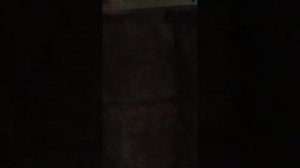 Перегон метро "Автово - Ленинский Проспект" со включëнным освещением + остановка поезда в тоннеле