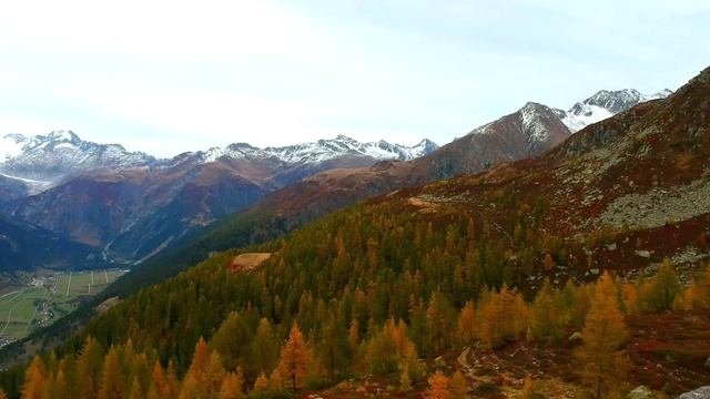 не думать