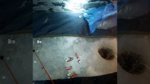 Рыбалка на Карповском водохранилище. Волгоград