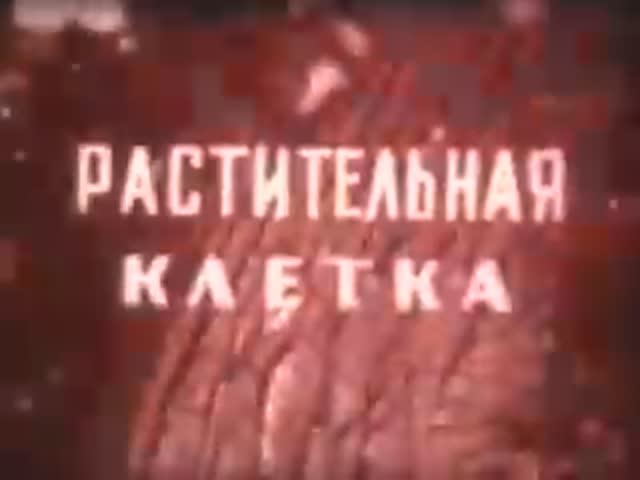 Растительная клетка смотреть онлайн