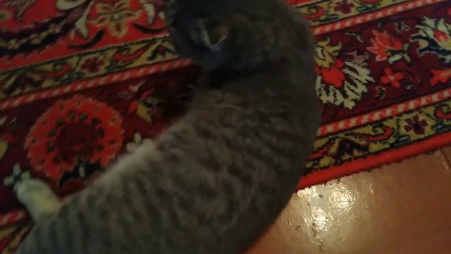 Мотя перед камерой смотреть онлайн