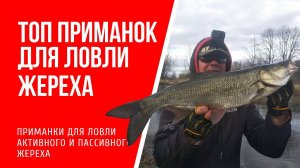 Лучшие приманки для ловли жереха Активный и пассивный жерех