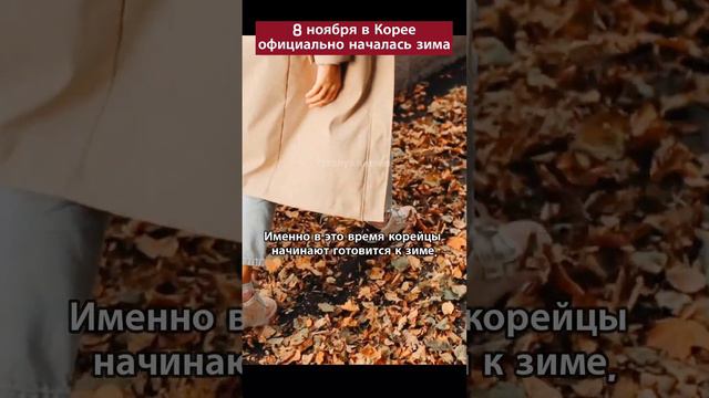 8 ноября в Корее официально началась зима