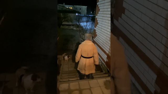 Ночной визит Деда и Жоры. / ГАРДЕЙ И ИВАНЫЧ #shortsvideo #а4 #рек #рекомендации #россия #тренды смотреть онлайн