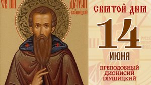 14 июня. Православный календарь. Икона Преподобного Дионисия Глушицкого.