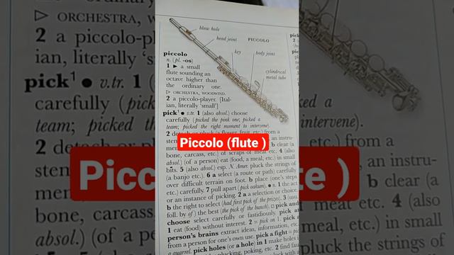 piccolo (flute) смотреть онлайн