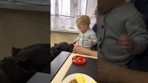 ???#tttt #cane #canecorso #канекорсо #canecorsoitaliano #канекорсоитальяно