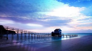 Вадим Зеланд. Простое решение сложных проблем.