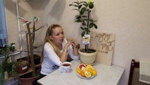 Лимон Панэ, Хлебный лимон. Описание сорта.