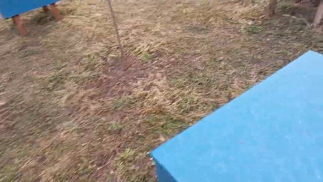 пчелы погода холодная смотреть онлайн