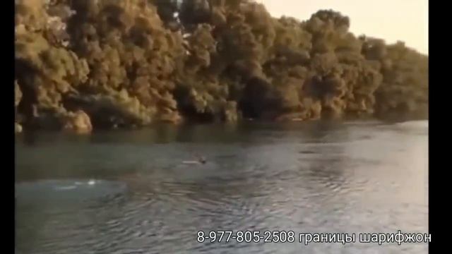 В РОССИИ ТАДЖИКИ БРОСИЛИСЬ НА МЕЛЕНЬКУЮ! ДЕВОЧКА АЖ НЕЗНАЛА ЧТО ДЕЛАТЬ И ПЛАКАЛА!!! смотреть онлайн