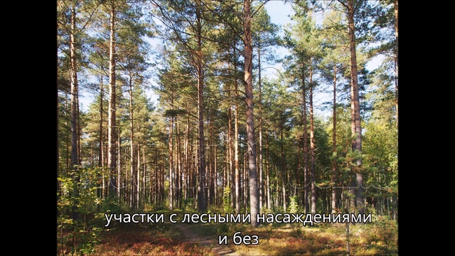 Купить участок недорого в Ленинградской области.