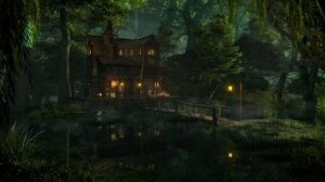 Звуки болот ночью - Лягушки, сверчки, мелкий дождь, звуки лесной природы