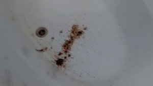 коллекторная система отопления, не работают радиаторы при включённых тёплых полов.