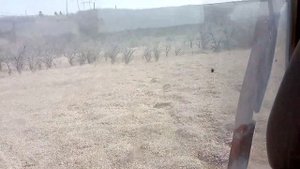 Вывоз дров и леса на тракторе Т-16