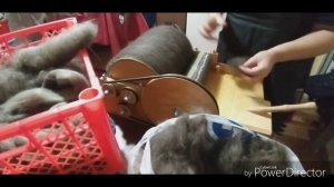 Работа на Кардерном барабане, ответы на вопросы