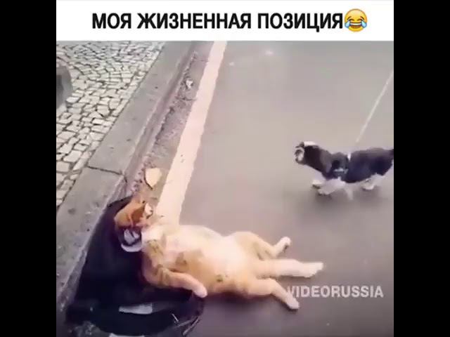 Моя жизненная позиция