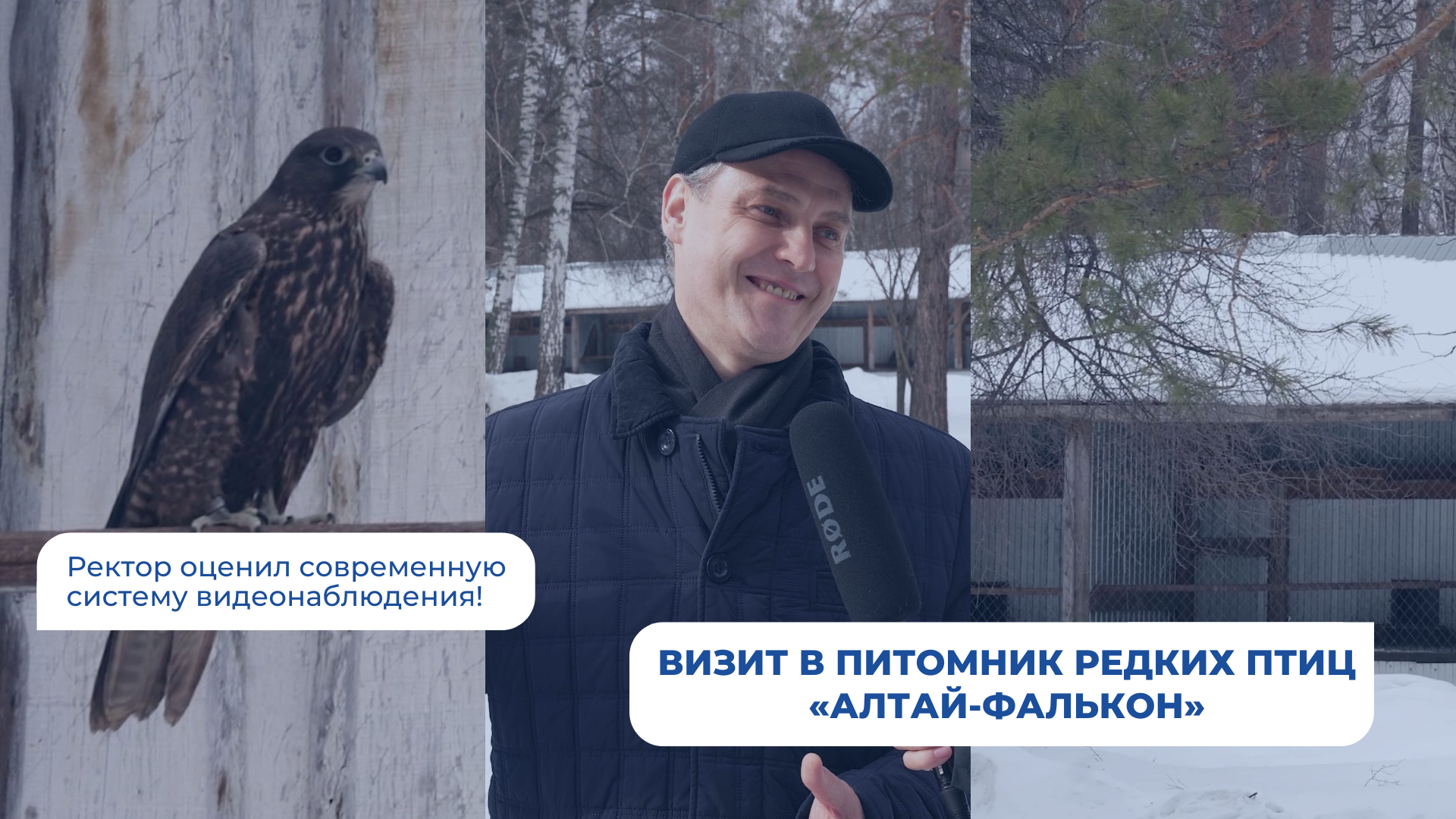 Установка современной системы видеонаблюдения в питомнике редких птиц «Алтай-Фалькон»