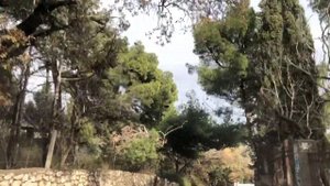 Понизовка, Кацивели пгт. По дороге вдоль моря. Ноябрь 2022 г. Крым. Crimea. Большая Ялта. Yalta.