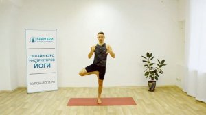 ВРИКШАСАНА — позе дерева в йоге • Отстройка • Техника выполнения • Видеоразбор