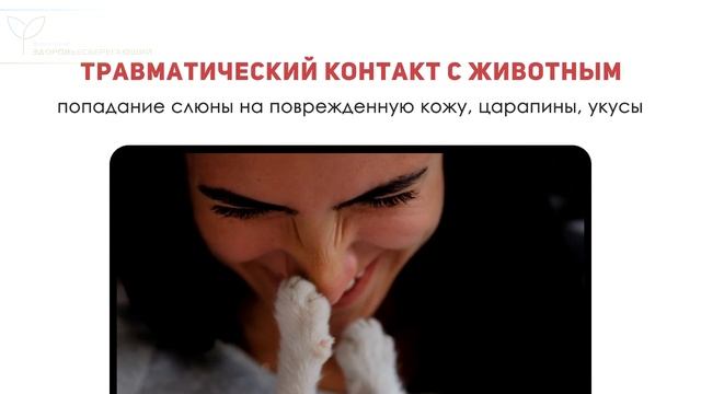 Увеличился лимфоузел: неожиданно опасная причина смотреть онлайн