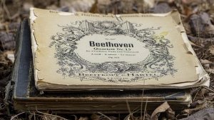 Beethoven Symphony 5 & 7 | Classical Music