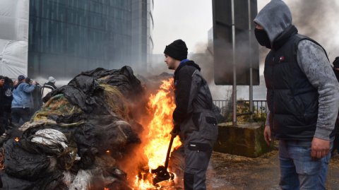 «Коктейль из навоза»: как фермеры отомстили чиновникам в Брюсселе