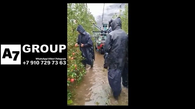 Комбайн для уборки яблок с деревьев (часть 3)