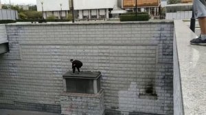 ОЧЕНЬ ЖЁСТКИЙ ПРЫЖОК С БОЛЬШОЙ ВЫСОТЫ !НЕ ПОВТОРЯТЬ !