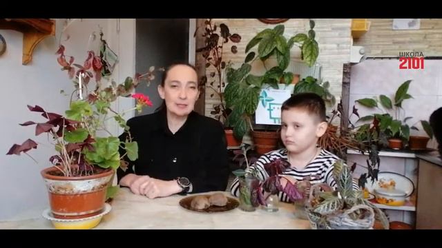 Экоурок № 11. Что такое антоцианы?