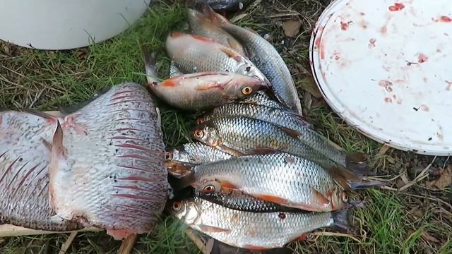 Озеро Судачье. смотреть онлайн