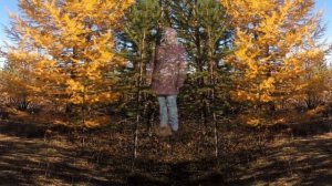 А ну ка бабушки 17г визитка