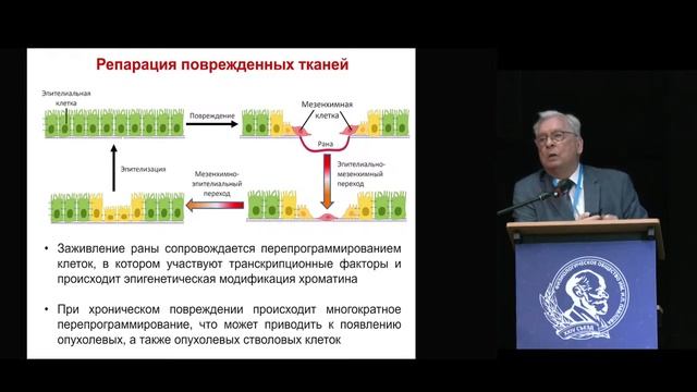 Пленарная лекция: акад. В.А. Ткачук (МГУ) Физиологическая регенерация органов и тканей
