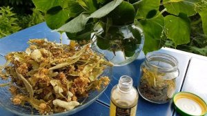 ПОЛЕЗНЫЕ СВОЙСТВА ЦВЕТОВ ЛИПЫ || Рецепт приготовления мацерата липы