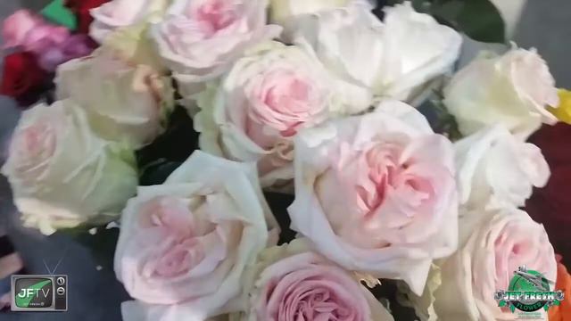 JFTV: Preesman Roses flying with Jet Fresh at the World Floral Expo смотреть онлайн