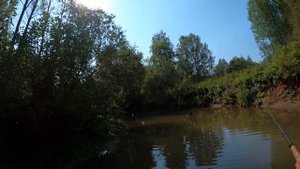 Тенкара. Сравнение удочек 5-5, 6-4, 7-3 длиной 360